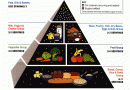 The 1992 Food Pyramid Explained: A Retrospective Look at Nutritional Guidance