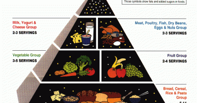 The 1992 Food Pyramid Explained: A Retrospective Look at Nutritional Guidance