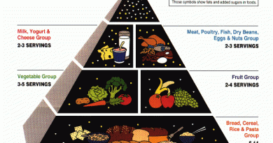 The 1992 Food Pyramid Explained: A Retrospective Look at Nutritional Guidance The 1992 Food Pyramid Explained: A Retrospective Look at Nutritional Guidance