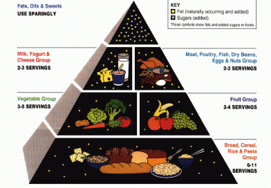 The 1992 Food Pyramid Explained: A Retrospective Look at Nutritional Guidance