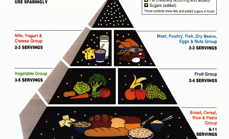 The 1992 Food Pyramid Explained: A Retrospective Look at Nutritional Guidance