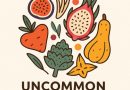 The Difference Between Short Term Fixes And Long Term Health At Nashua Nutrition
